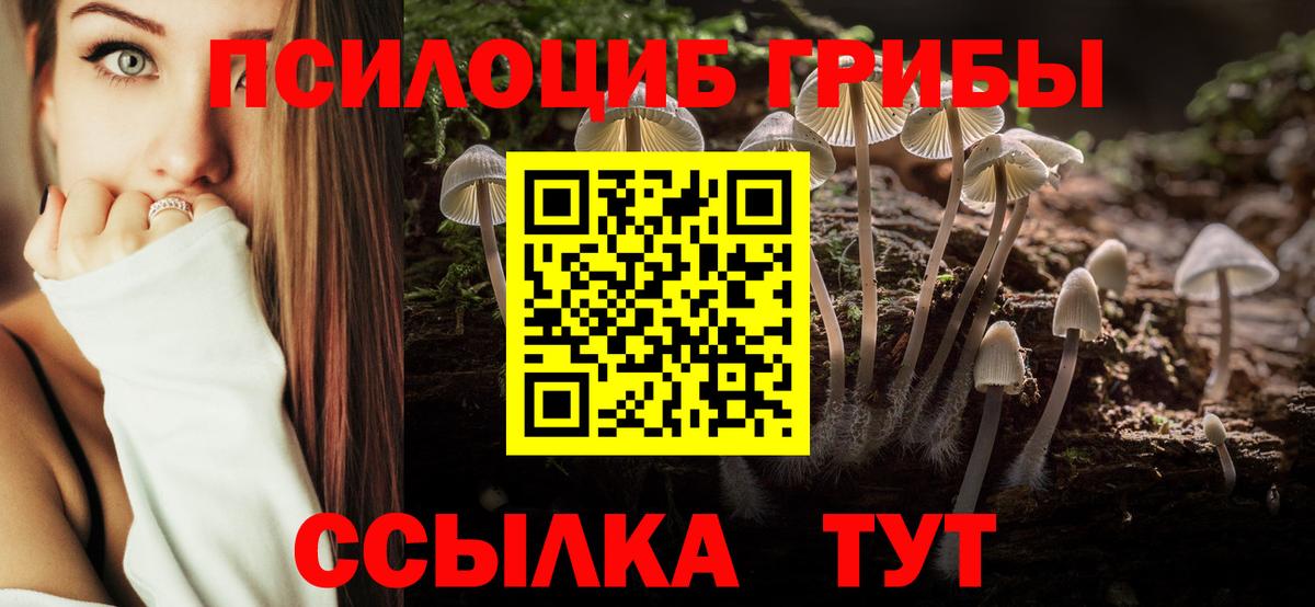 Апшеронск  Псилоцибиновые грибы Psilocybine cubensis  Вход с VPN 